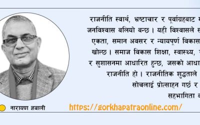 राजनीतिक शुद्धताको मानक